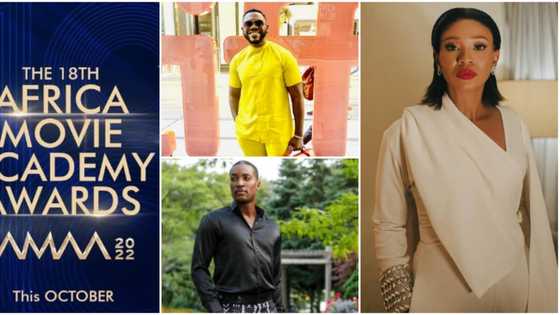 “AMAA awards 2022 is not a popularity contest, it is about professionalism”: Founder Peace Anyiam-Osigwe says