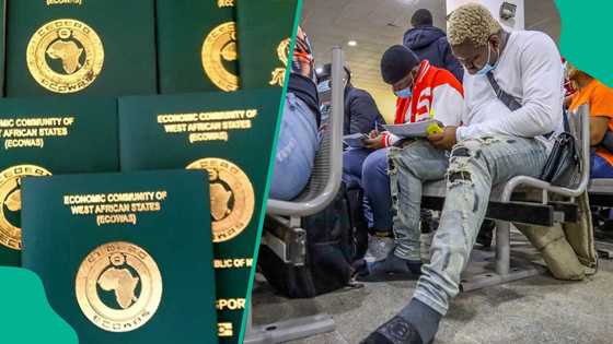 Full list: 44 visa-free countries Nigerian passport holders can travel to