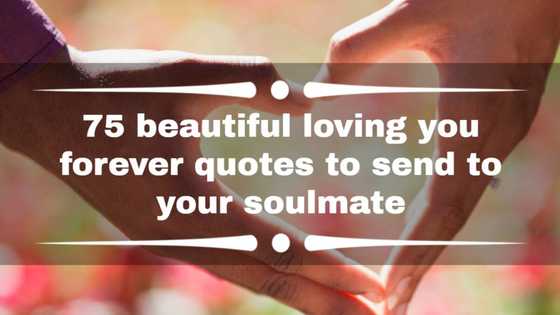 75 beautiful loving you forever quotes to send to your soulmate