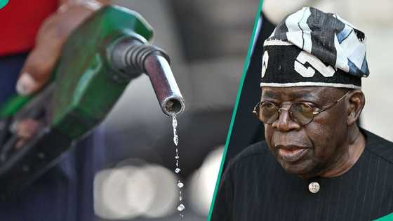 Petrol price increased by over 600% in 3 years after subsidy removal