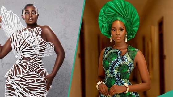 Ghanaian actress Nana Addo denies Nigerian designer Ezinne her credit, she shares evidence