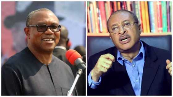 Peter Obi's opponent revealed as Labour Party moves to hold presidential primary on Monday, May 30