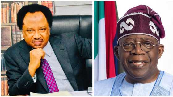 “Appeasing a snake in a palace”: Shehu Sani reacts as senate announces Tinubu’s ministerial nominees