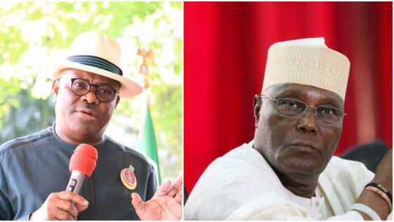 Presidential ticket: Strong PDP chieftain reacts as Wike denies suing Atiku