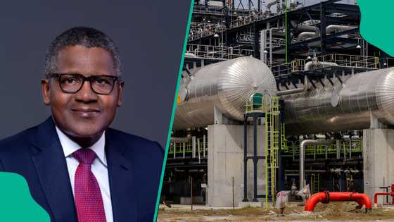 Dangote refinery clears air, reacts to claims that its distribution plan will create job loss