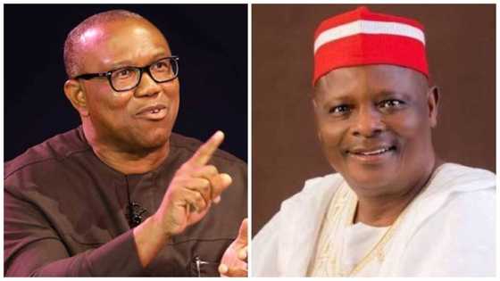 Ya kamata ka girmi siyasar kabilanci: Peter Obi ya caccaki Kwankwaso