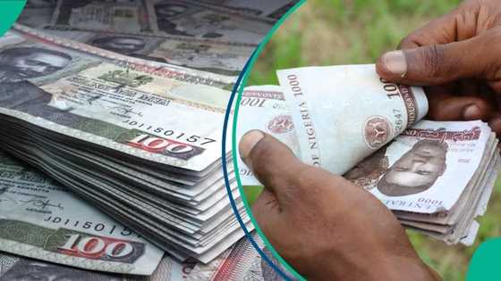 Naira gets new position as another currency emerges as best-performing in Africa