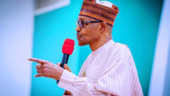 Heated reactions from Nigerians as report shows 103 out of Buhari's 190 appointees come from south