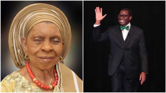 Just in: Tears as AfDB president Akinwumi Adesina's mother dies