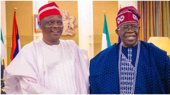 Report reveals role Kwankwaso would occupy in President Bola Tinubu’s cabinet