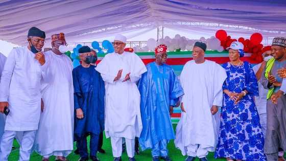 Bayan an kammala zaben APC, Fadar Shugaban kasa ta yi maganar ‘Dan takarar Buhari'