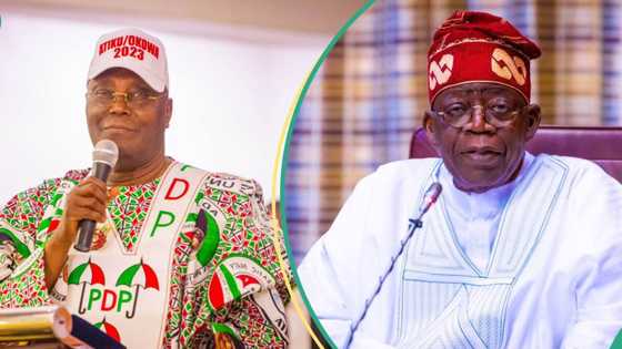 Can release of Tinubu’s academic records by CSU affect Supreme Court verdict? Senior lawyers speak
