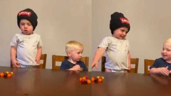 Don't eat this until I come back: Dad tells kids, they feast on candies immediately he leaves them