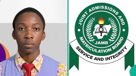 2025 UTME top scorer in Ibadan school scores 356 as 15 other students get above 300, results trend