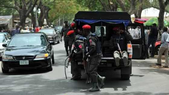 Bandits kidnap college of education deputy provost’s 3 sons in Katsina