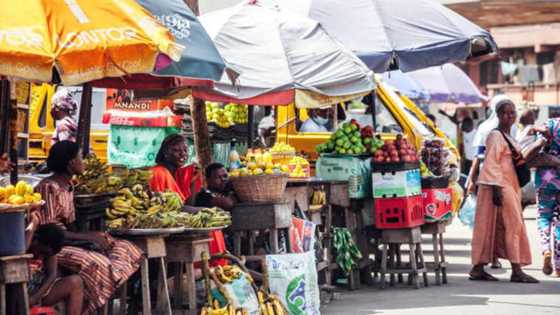 Oil, cement, paper, eggs: full list of items Nigeria imports from abroad