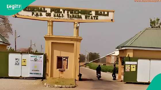 Over 4000 applicants battle for 98 vacancies in the top Northern poly