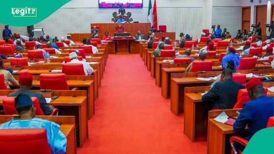 Breaking: Senate sacks Danladi Umar as CCT Chairman, details emerge