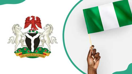 11 national symbols of Nigeria and their meanings explained