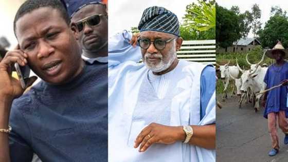 Sunday Igboho: FG finally breaks silence on locals-herdsmen clash, Ondo quit notice