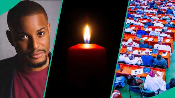 Alex Ekubo: Dino Melaye makes strong remark, "vanity of life is defined"