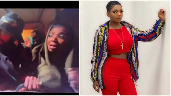 Hilarious reactions as Annie Idibia begs driver to go after a lion threatens to attack during a safari in SA