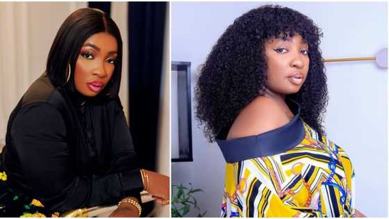 "Most have sugar daddies": Anita Joseph replies Kunle Remi on why their female colleagues do better than males