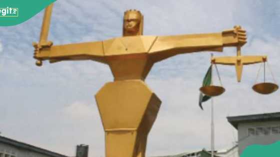 Just In: Appeal court sacks 3 Plateau PDP House of Reps members