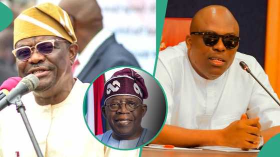 Timi Frank sends message to Tinubu over alleged Wike’s impeachment plot against Fubara