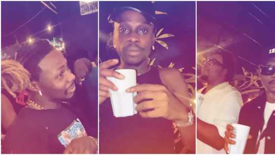 “Are y’all not fasting?” Video trends of Asake, Olamide, Fireboy, Reminisce, partying hard at nightclub
