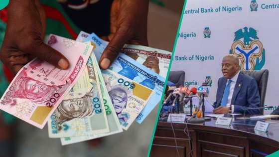 CBN increases banknote printing as cash circulation hits record high