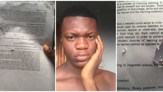 You no cook for them; Hilarious reactions as student shares photos of his exam material eaten by rats