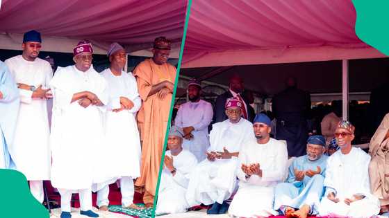 "Strong pillar": APC member shares photos of Tinubu's son 'only a few truly know'