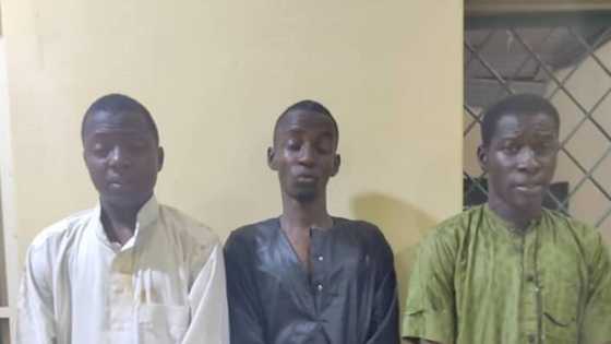 Kano: 'Yan sanda sun yi ram da matasa 3 da ke barazanar sace magidanci idan bai biya N2m ba