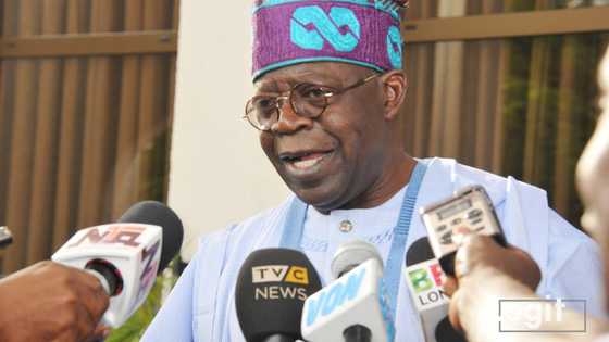 Ziyarar da Shugabannin APC su ka kai wa Bola Tinubu ta fara kawo nasara