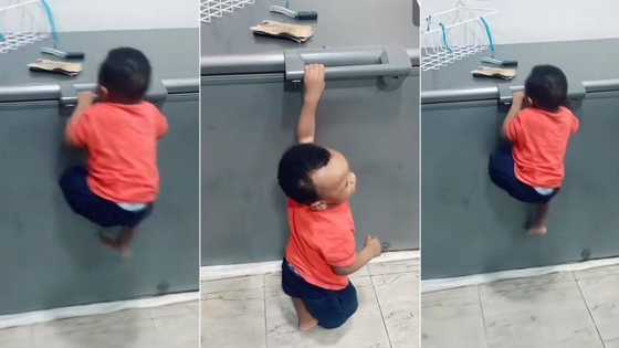 "Power of money: 11-month-old baby climbs deep freezer at home as mum watches in awe, video trends