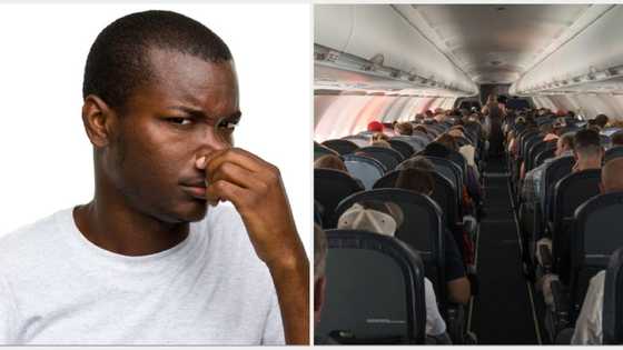 Lagos to London flights: Nigerian deported from UK poo on aeroplane to delay, cancel flight