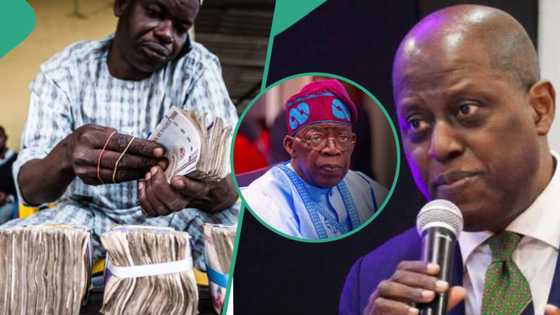 Concerns as CBN lifts ban on 43 items to stabilise naira against US dollar