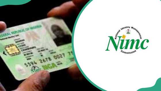 Apply for NIN as FIRS says it will serve as Tax ID for individuals