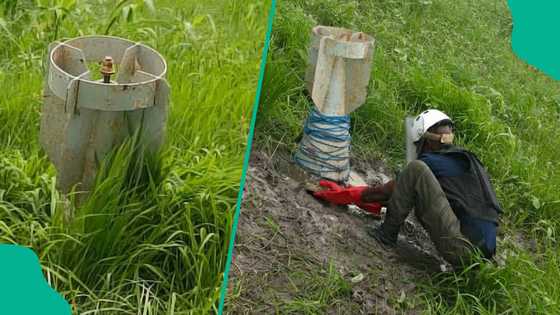 An saki hotunan bam da 'yan sanda suka gano a cikin gonar wani manomi a Borno