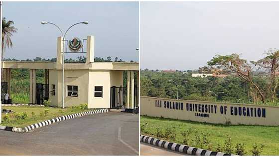 TASUED reopens after clash with host community, announces examination date