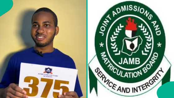 Okeke Chinedu Christian: JAMB 2025 highest-scoring candidate shares secret to his academic success