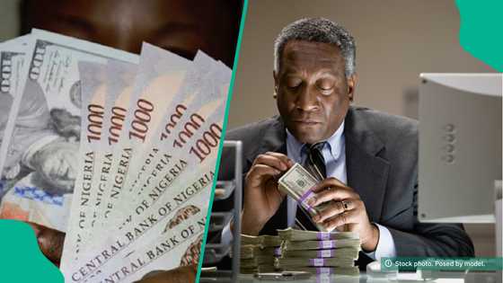 Traders sell dollar at new exchange rate as naira depreciates again