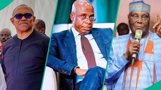 2027 election: ADC mentions what'll happen to Atiku, Obi, Amaechi when party finally cedes presidential ticket