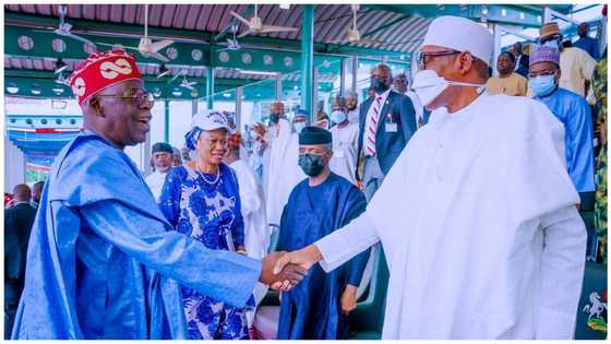 List of 15 people who helped Tinubu defeat the cabals, Osinbajo and others