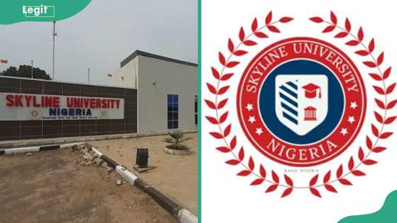 Skyline University Kano courses, cut-off mark and school fees