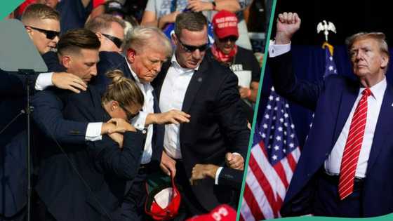 Trump's assassination attempt: Moment 20-yr-old Thomas Matthew Crooks fired ex-US president, video