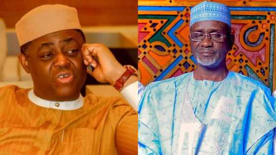 Fani-Kayode blasts former Kano governor for saying Tinubu is sick, calls Atiku 'non-binary'