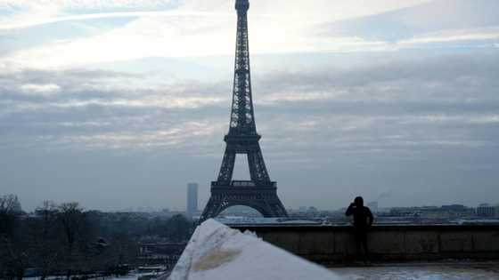 Eiffel Tower topped pre-Covid visitor numbers in 2023