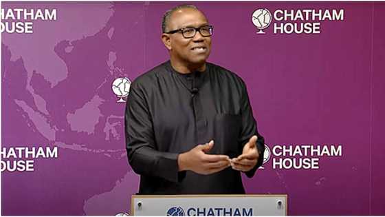 Chatham House: APC reacts, spot error in Peter Obi's performance